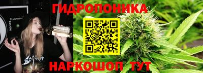 дживик Ставрополь