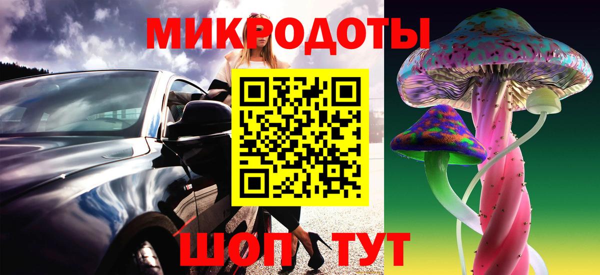 Азнакаево  Галлюциногенные грибы Psilocybine cubensis  Вход с VPN 