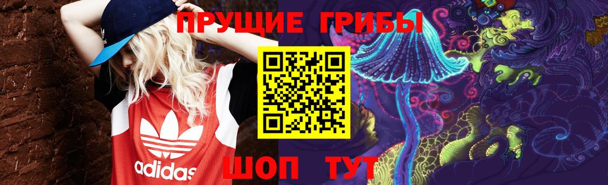 Псилоцибиновые грибы ЛСД Азнакаево